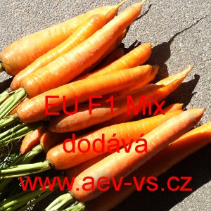 Mrkev obecn&aacute; hybridn&iacute; Berlicum/Flak&eacute;e EU F1 Mix