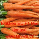 Mrkev obecn&aacute; hybridn&iacute; Flakkee polopozdn&iacute; až pozdn&iacute; EU F1 Mix