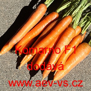 Mrkev obecn&aacute; hybridn&iacute; Komarno F1