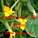 Okurka set&aacute; nakl&aacute;dačka hybridn&iacute; partenokarpick&aacute; i do f&oacute;liovn&iacute;ku "Hladk&aacute;" EU F1 Mix