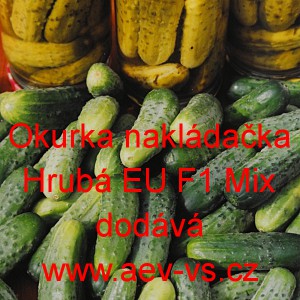 Okurka set&aacute; nakl&aacute;dačka hybridn&iacute; partenokarpick&aacute; i do sklen&iacute;ku "Hrub&aacute;" EU F1 Mix