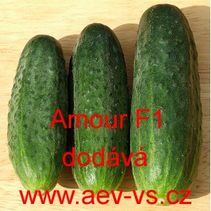 Okurka set&aacute; nakl&aacute;dačka hybridn&iacute; partenokarpick&aacute; Amour F1