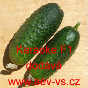 Okurka set&aacute; nakl&aacute;dačka hybridn&iacute; partenokarpick&aacute; Karaoke F1