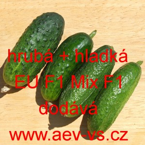 Okurka set&aacute; nakl&aacute;dačka hybridn&iacute; partenokarpick&aacute; do sklen&iacute;ku EU F1 Mix