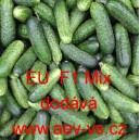 Okurka set&aacute; nakl&aacute;dačka hybridn&iacute; "Hrub&aacute;" EU F1 Mix