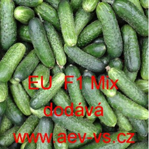 Okurka set&aacute; nakl&aacute;dačka hybridn&iacute; "hrub&aacute;" EU F1 Mix