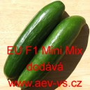 Okurka set&aacute; sal&aacute;tov&aacute; hybridn&iacute; "hadovka" do sklen&iacute;ku EU F1 Mini Mix