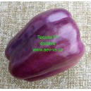 Paprika ročn&iacute; zeleninov&aacute; hybridn&iacute; Tequila F1 precisem