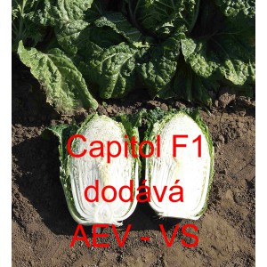 Pekingsk&eacute; zel&iacute; hybridn&iacute; Capitol F1