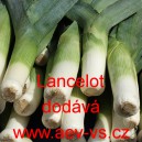 P&oacute;r zahradn&iacute; Lancelot