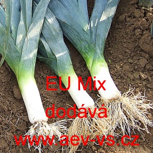P&oacute;r zahradn&iacute; k přezimov&aacute;n&iacute; EU Mix