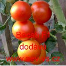 Rajče tyčkov&eacute; hybridn&iacute; Bocati F1