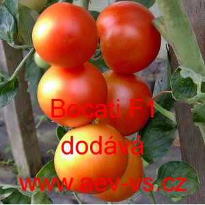 Rajče tyčkov&eacute; hybridn&iacute; Bocati F1