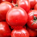 Rajče tyčkov&eacute; hybridn&iacute; Barbados F1