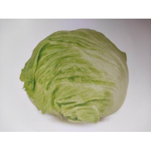 Sal&aacute;t hl&aacute;vkov&yacute; ledov&yacute; Feddenas RZ