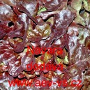 Sal&aacute;t listov&yacute; Navara