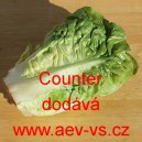 Sal&aacute;t ř&iacute;msk&yacute; Counter