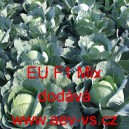 Zel&iacute; hl&aacute;vkov&eacute; b&iacute;l&eacute; hybridn&iacute; kruh&aacute;rensk&eacute; pozdn&iacute; EU F1 Mix