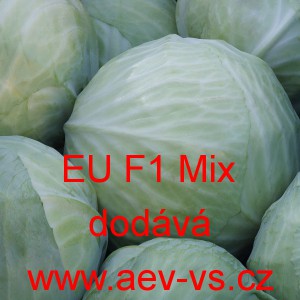 Zel&iacute; hl&aacute;vkov&eacute; b&iacute;l&eacute; hybridn&iacute; skladovateln&eacute; pozdn&iacute; EU F1 Mix