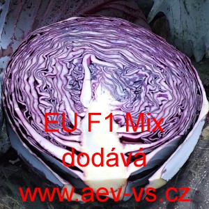 Zel&iacute; hl&aacute;vkov&eacute; červen&eacute; hybridn&iacute; skladovateln&eacute; EU F1 Mix