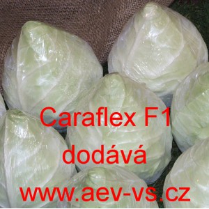 Zel&iacute; hl&aacute;vkov&eacute; b&iacute;l&eacute; hybridn&iacute; &scaron;pičat&eacute; Caraflex F1